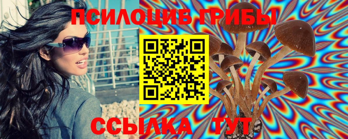 Крымск  Псилоцибиновые грибы мицелий  Галлюциногенные грибы Psilocybe  Вход с VPN 